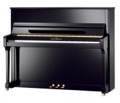 Schimmel C120 tradition