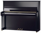 Schimmel C124 tradition