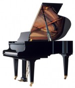 Schimmel K169 Tradition (5'7)